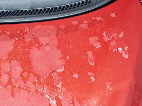 全体的な色あせ・クリア剥げが気になる